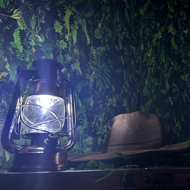 Ark Raider Sneak Peak